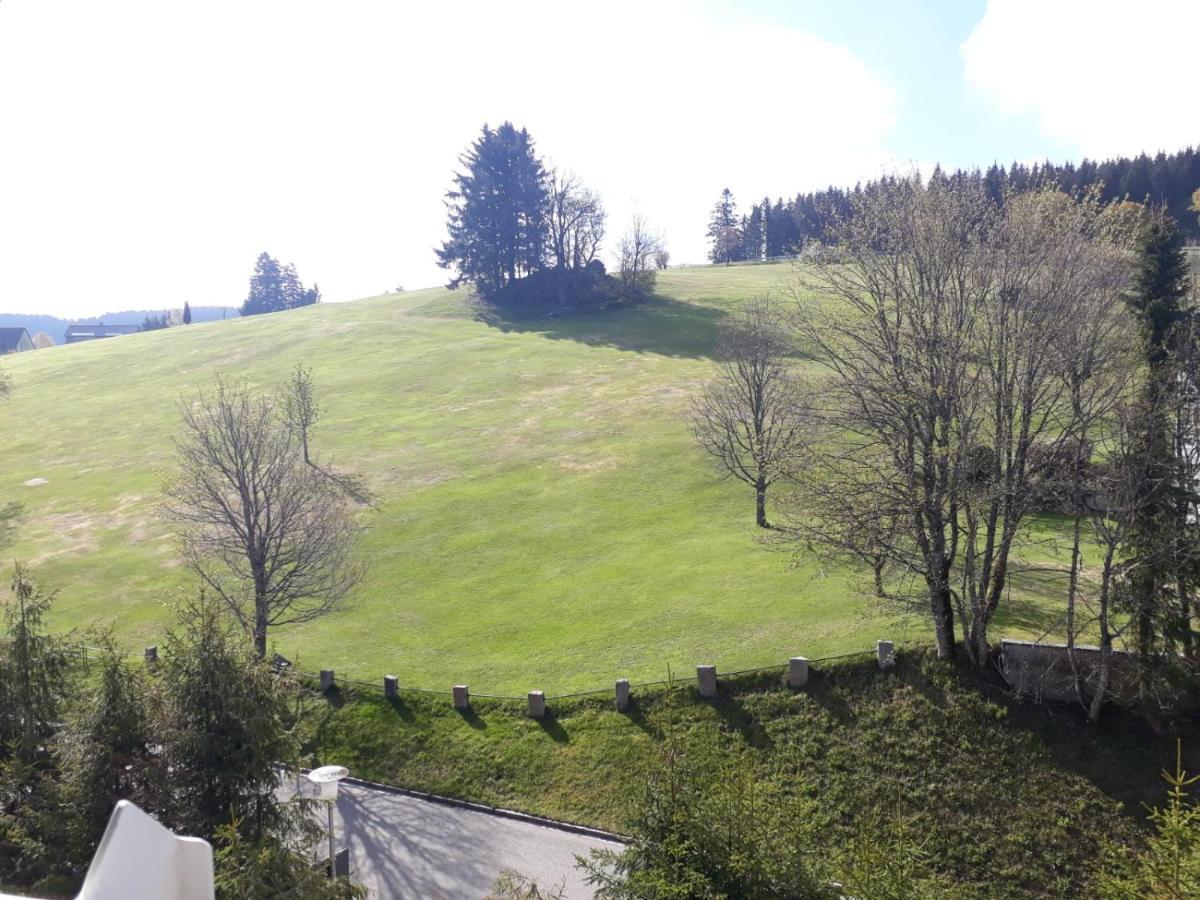 Ferienwohnung * Schoenwald im Schwarzwald