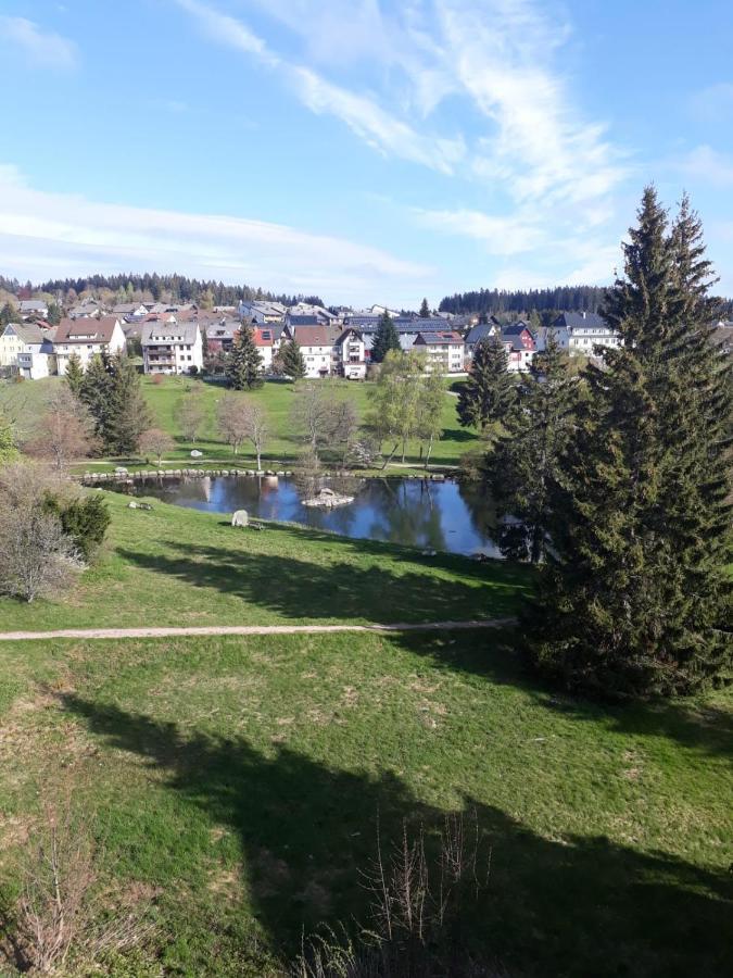 Ferienwohnung Apartment Schoenwald im Schwarzwald